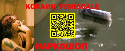 прущие грибы Можга