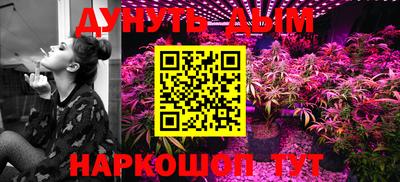 прущие грибы Можга